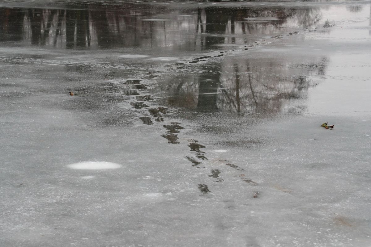 Выходить на тонкий лед опасно для жизни: как не допустить трагедии?