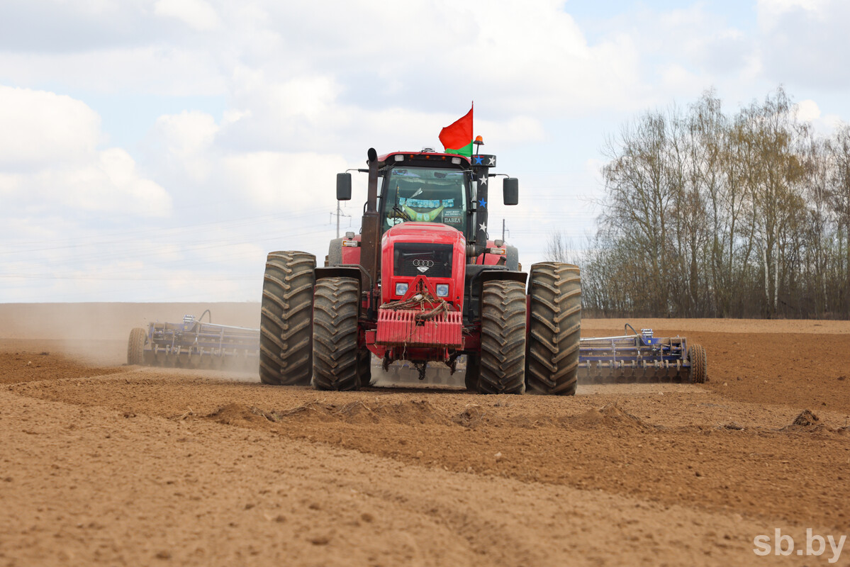 В Беларуси посеяна половина всех яровых культур