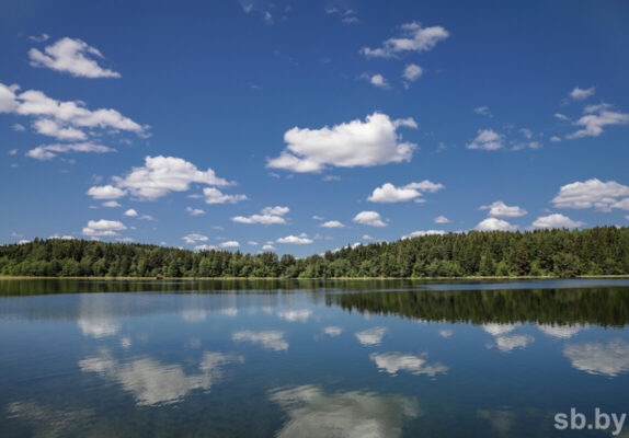 Уборка прибрежных зон, очистка рек и ручьев. В Беларуси стартовала экологическая акция