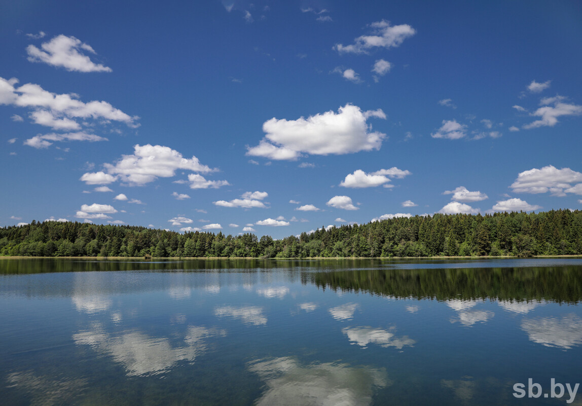 Уборка прибрежных зон, очистка рек и ручьев. В Беларуси стартовала экологическая акция