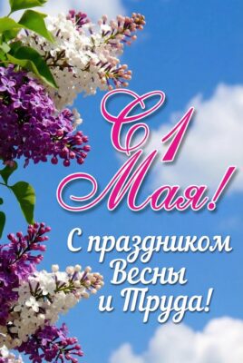 Дорогие славгородчане!