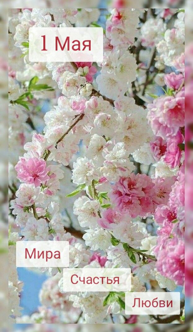 Уважаемые жители Славгородчины!