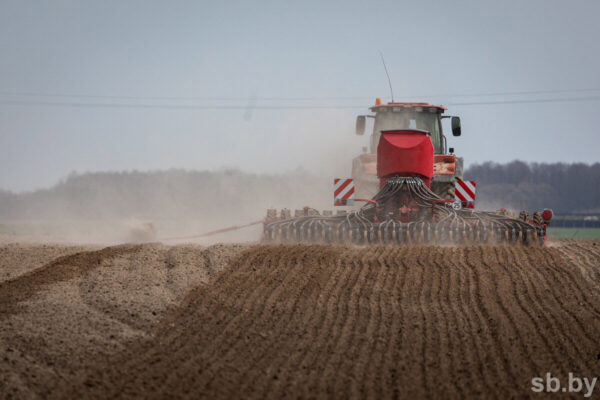 Аграрии Беларуси засеяли яровыми культурами 915 тыс. га — 40 % от плана