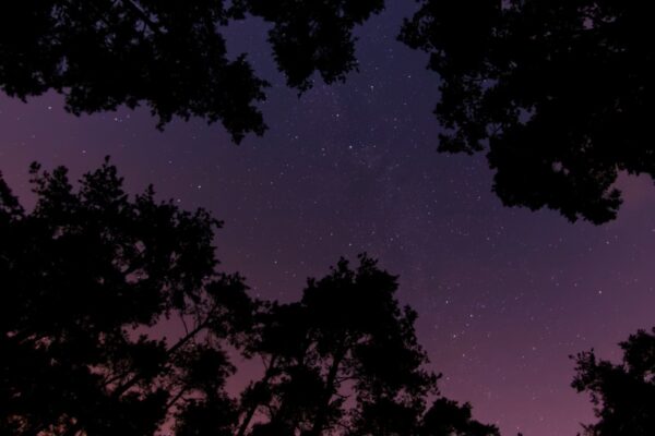 Жители Земли увидят до 40 «падающих звезд» в час: пик метеорного потока Аквариды придется в ночь на 6 мая