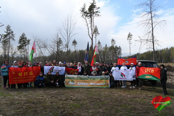 Под аккомпанемент дождя: Славгородчина прихорашивает «зеленые легкие»