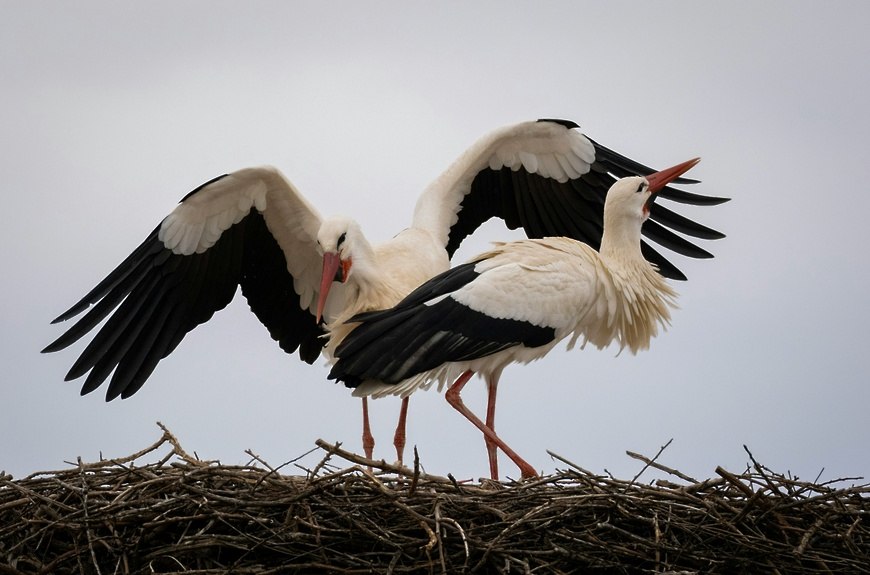 СОРОК ЛЕТ ПУТИ: от боли — к возрождению