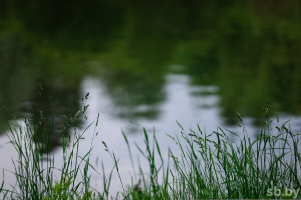 На большинстве рек страны наблюдается спад уровней воды — Белгидромет