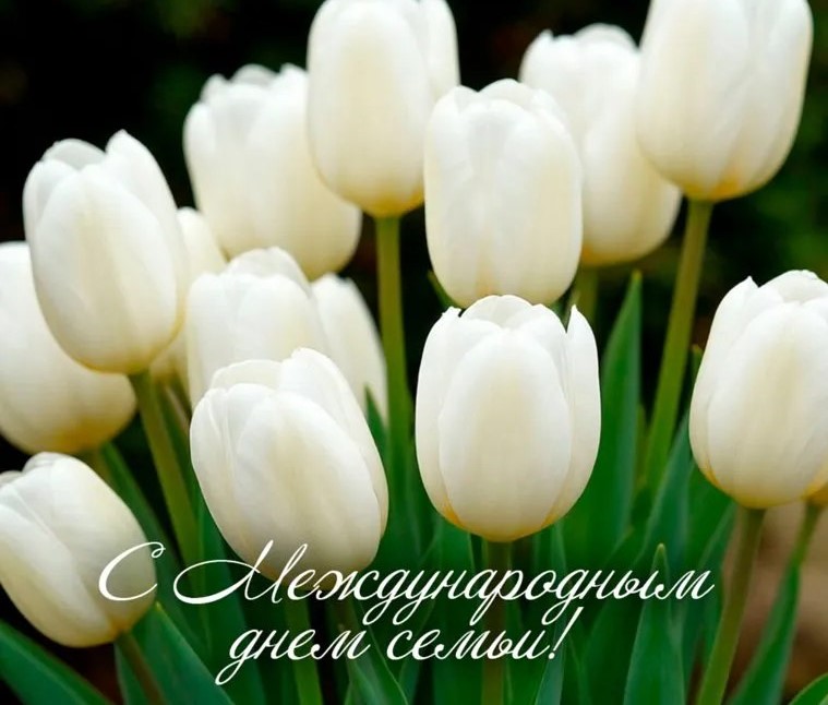 Дорогие друзья!