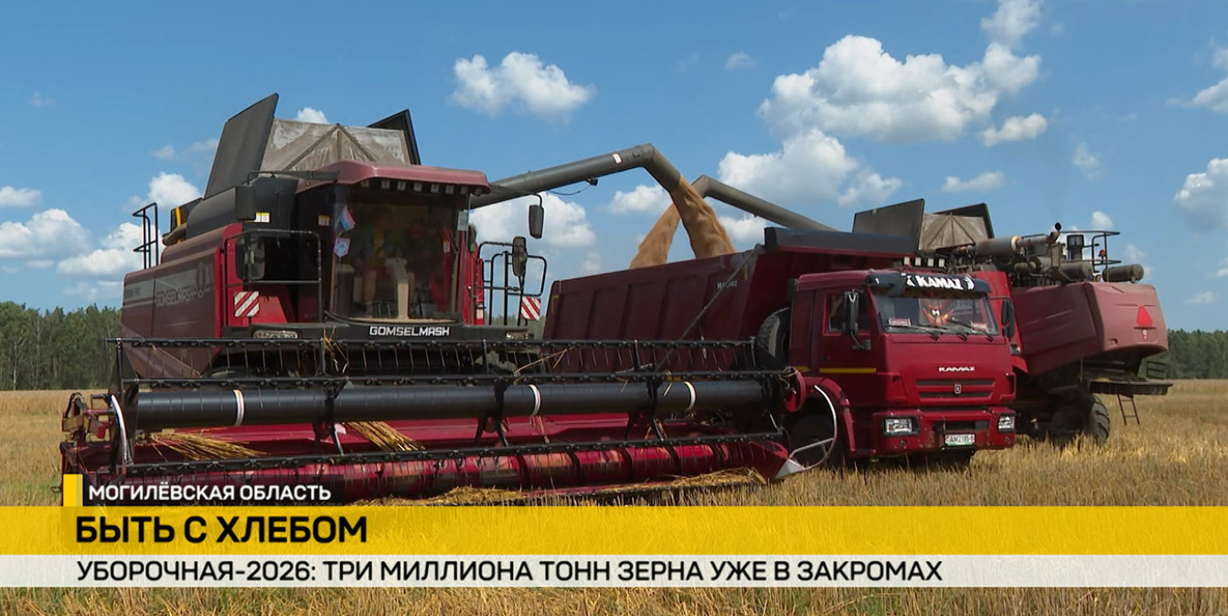 Больше трех миллионов тонн зерна – уже в закромах: о ходе уборочной – в репортаже ОНТ