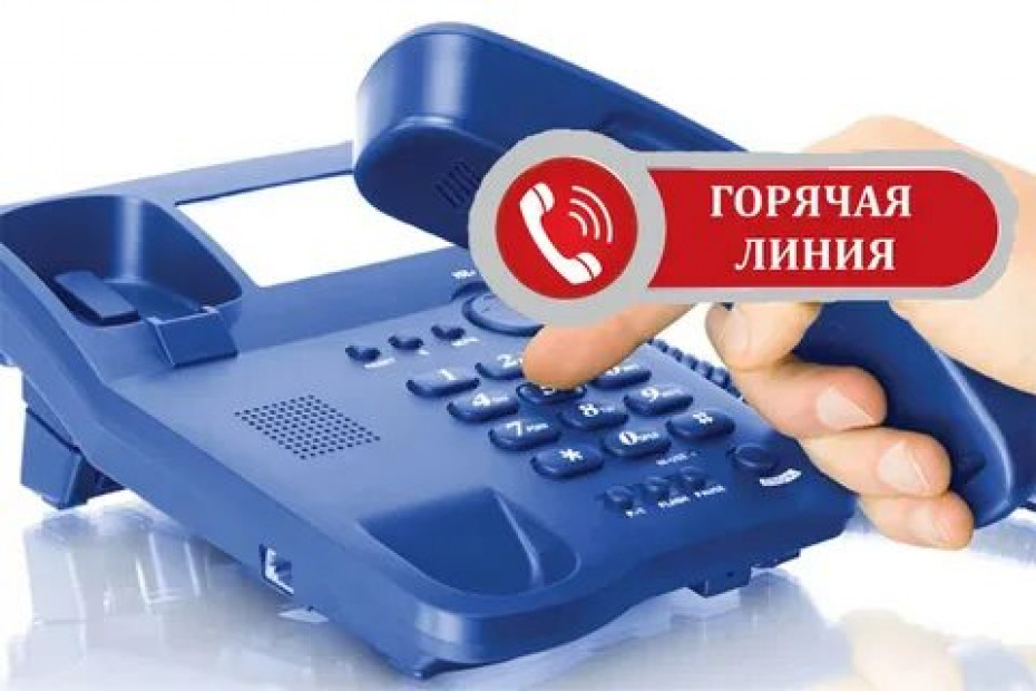 Горячая линия