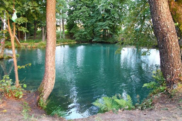 Сила особой воды
