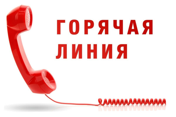 Горячая линия