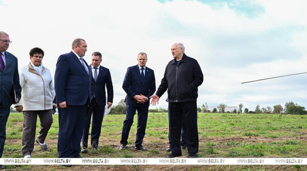 В графике Президента — сельхозтематика. Александр Лукашенко совершил рабочую поездку в Шкловский район 