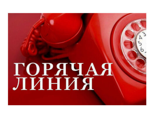 Горячая линия