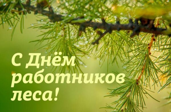 Уважаемые работники леса и ветераны труда!