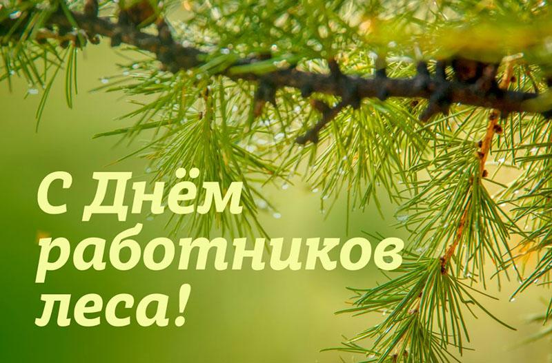 Уважаемые работники леса и ветераны труда!