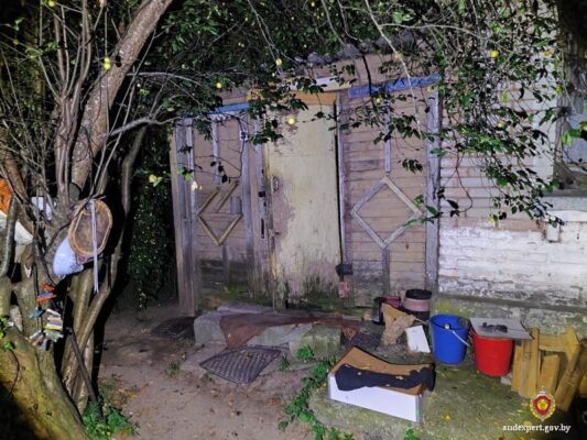 Эксперты установили причину смерти троих человек, чьи трупы обнаружены в Быхове в начале августа