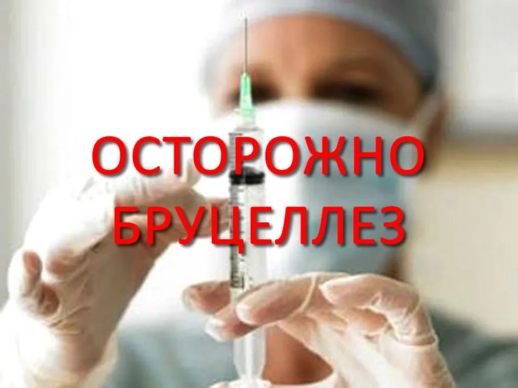 ВНИМАНИЕ! Бруцеллёз.